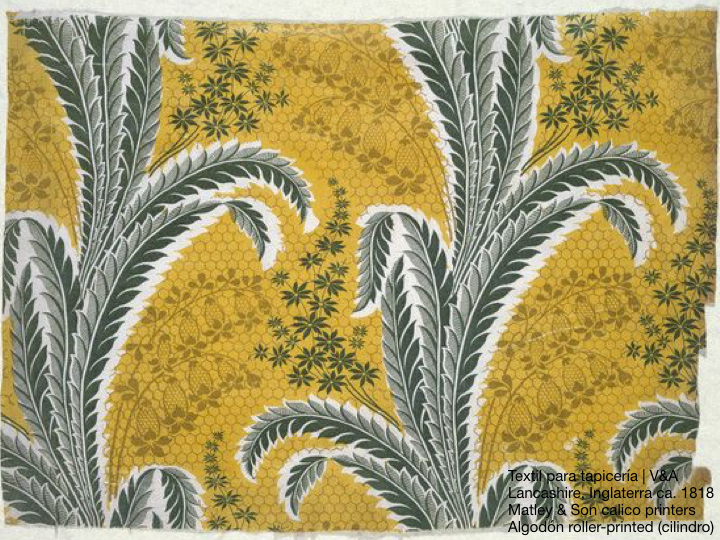 10 Imperio corto.049