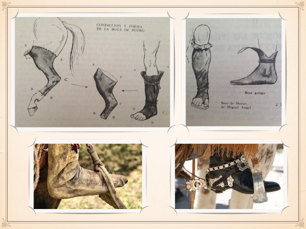 PILCHAS_CRIOLLAS_ESPAÑOL_2016.014